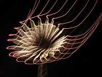 Jellyfish fireworks