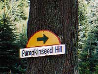 Pumpkinseed hill