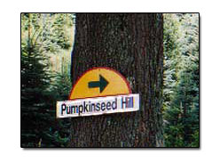 Pumpkinseed Hill