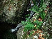 View from top of Indian well